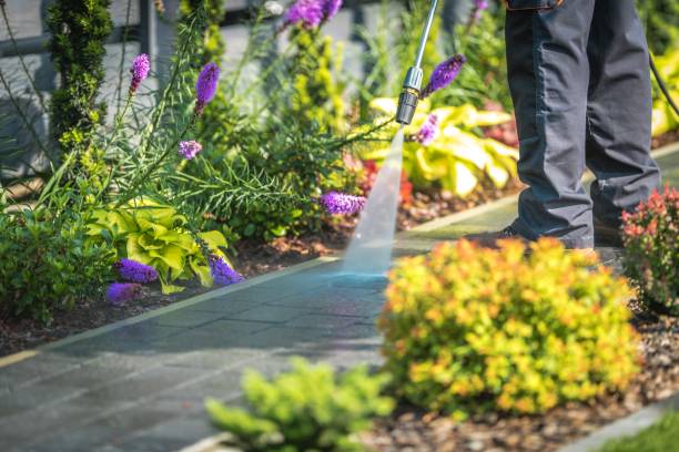 Best Roof Cleaning and Mildew Removal in Kiel, WI
